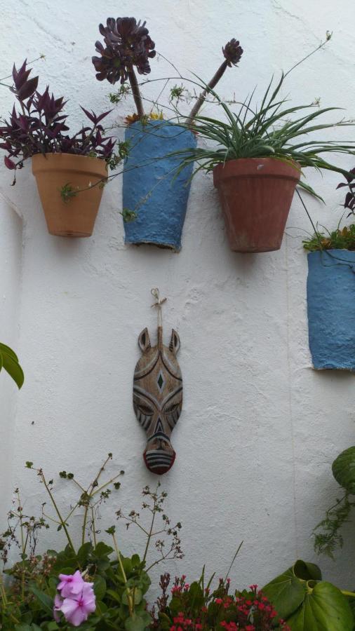 La Lectora Ξενοδοχείο Vejer de la Frontera Εξωτερικό φωτογραφία
